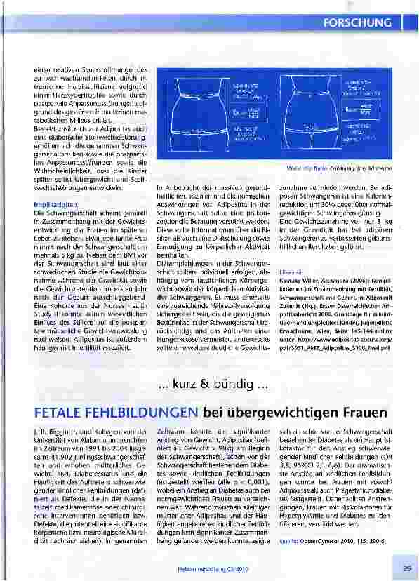 Vorschauseite 2: ADIPOSITASBERICHT