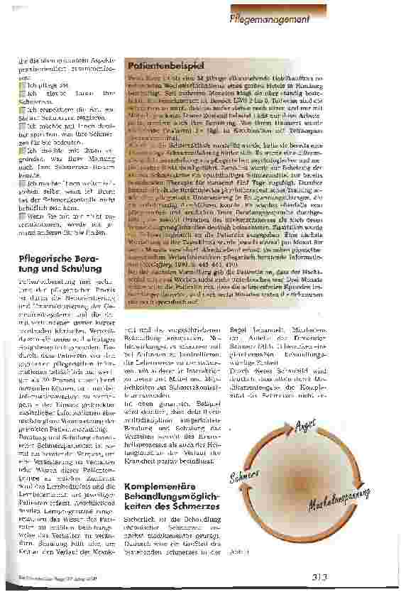 Vorschauseite 3: Schmerz als pflegerischer Kompetenzbereich?!
