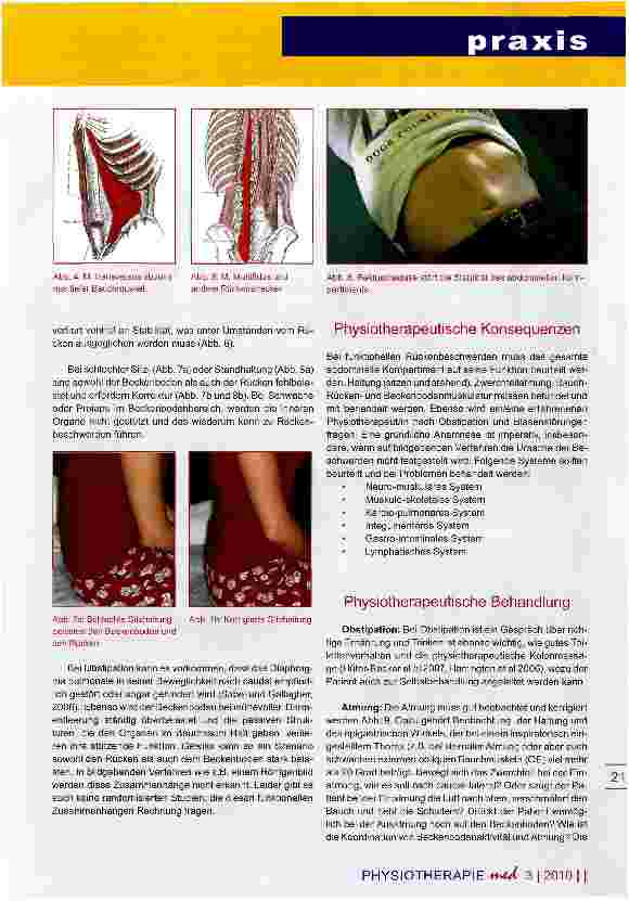 Vorschauseite 3: Integration des Beckenbodens Bedeutung für die physiotherapeutische Behandlun