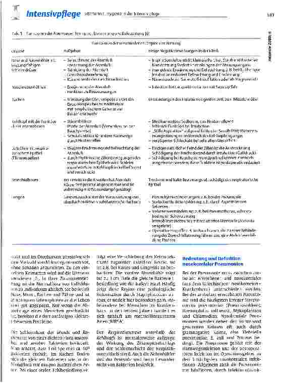 Vorschauseite 2: Hygiene in der Intensivpflege - Sinnvolle und nicht sinnvolle Präventionsmaßnahmen von Pneumonien