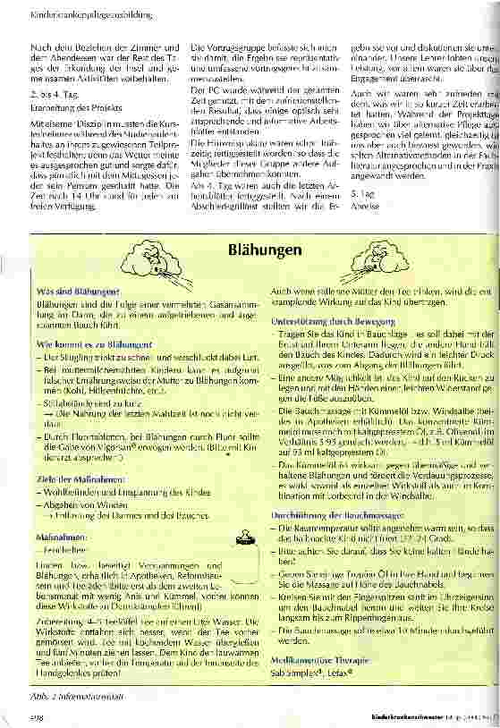 Vorschauseite 2: Alternative Pflegemethoden und Elternintegration - Möglichkeiten eines Schülerprojektes -