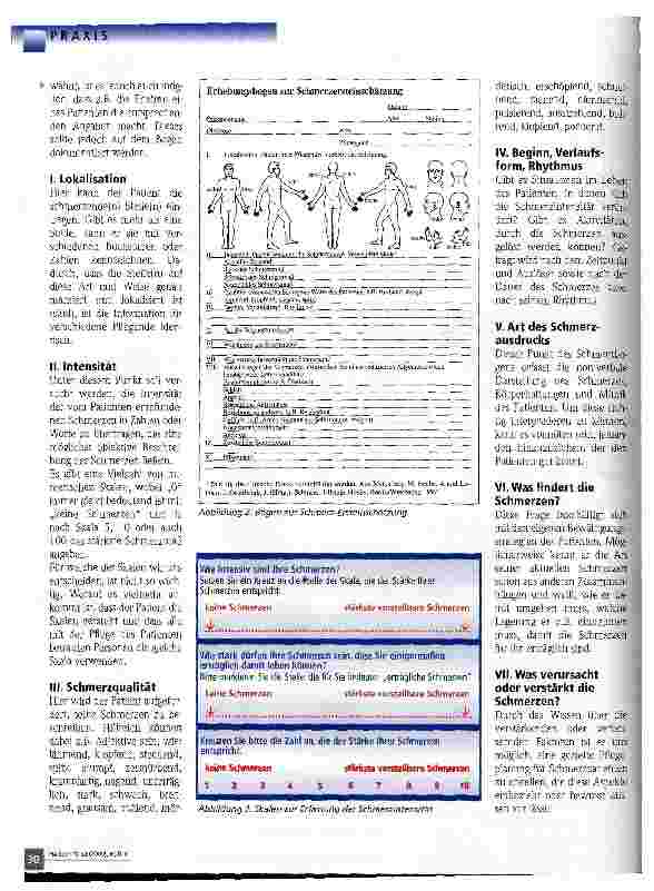 Vorschauseite 2: Beobachtung von Patienten mit chronischen Schmerzen