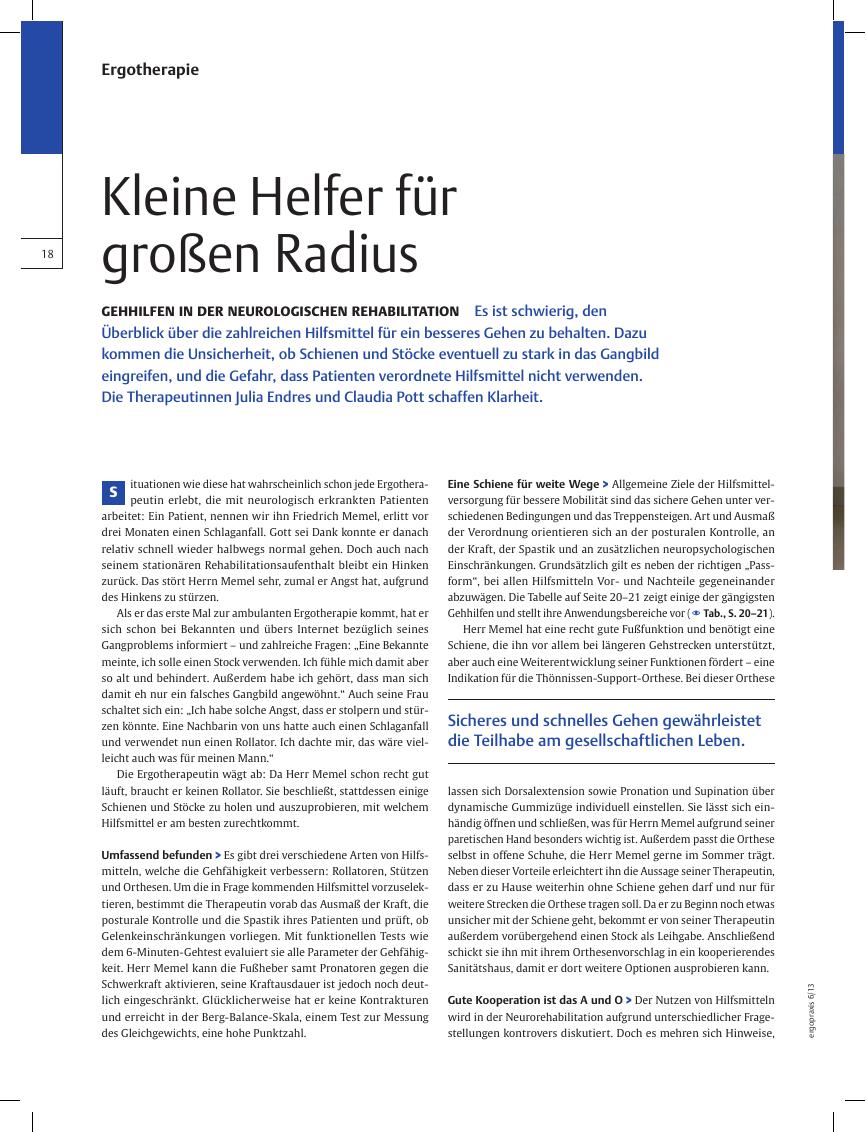 Vorschauseite 1: Gehhilfen in der Neurologischen Rehabilitation ? Kleine Helfer für großen Radius