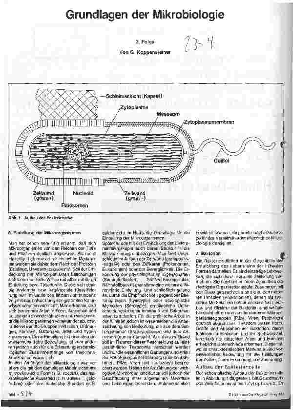 Vorschauseite 1: Grundlagen der Mikrobiologie