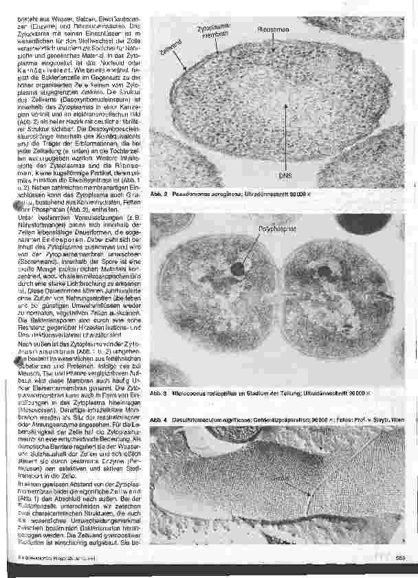 Vorschauseite 2: Grundlagen der Mikrobiologie