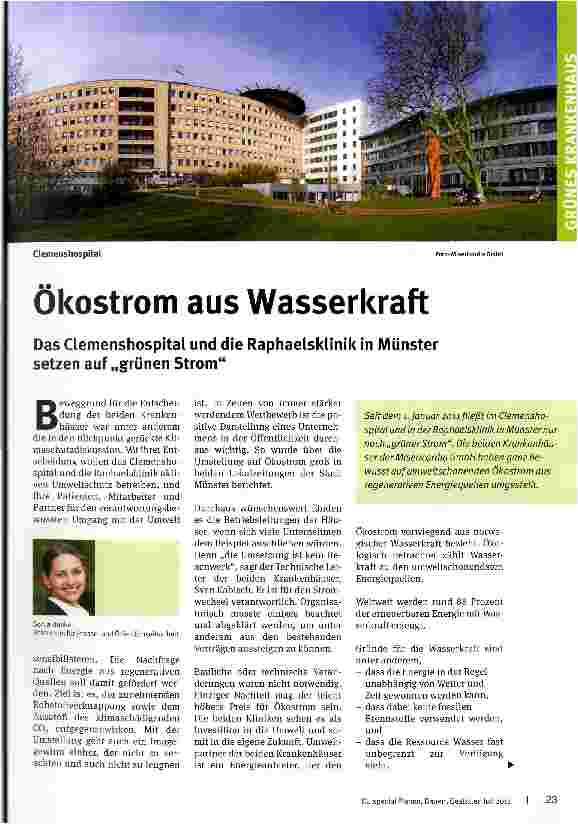 Vorschauseite 1: Ökostrom aus Wasserkraft