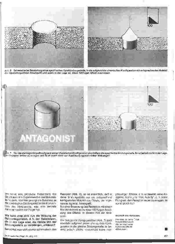 Vorschauseite 4: Wirkungsweise und praktische Anwendung zentralwirkender Analgetika und ihre Gegenspieler