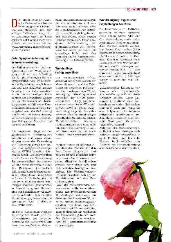 Vorschauseite 2: Wenn Wunden nicht mehr heilbar sind