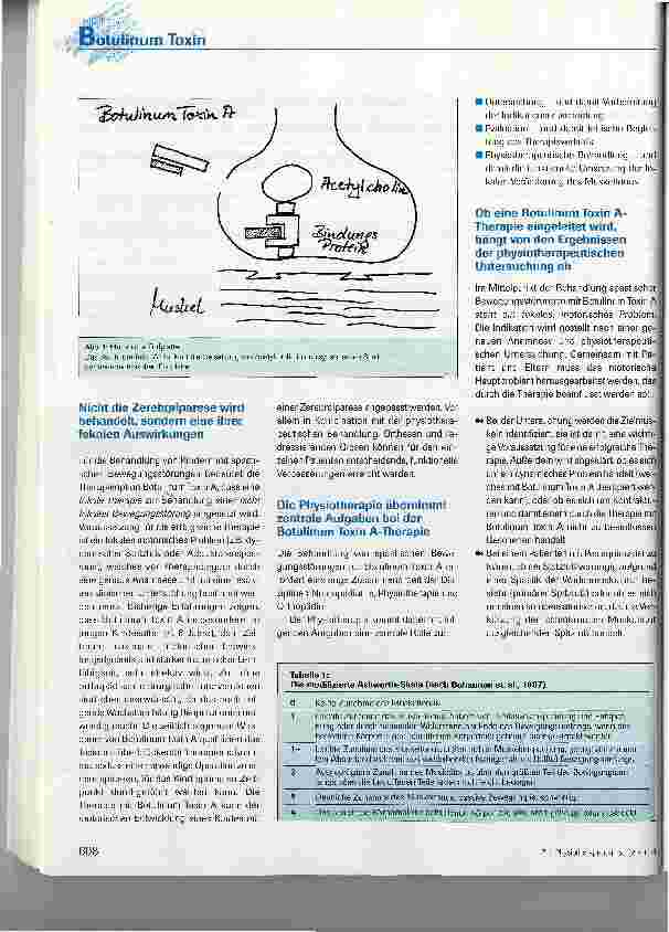 Vorschauseite 3: Die Therapie mit Botulinum Toxin Abei Kindern mit spastischen Bewegungsstörungen -Die Rolle der Physiotherapie
