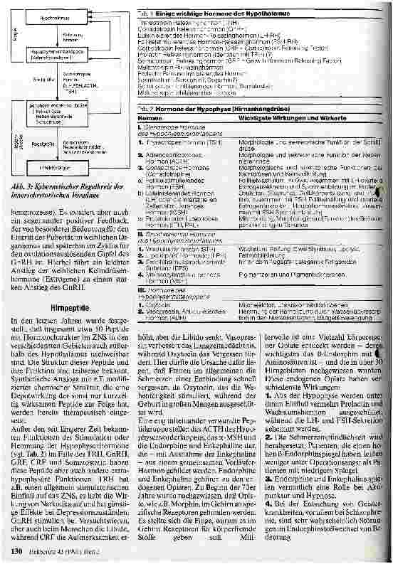 Vorschauseite 2: Neuroendokrinologie heute