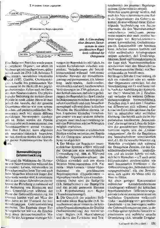 Vorschauseite 3: Neuroendokrinologie heute