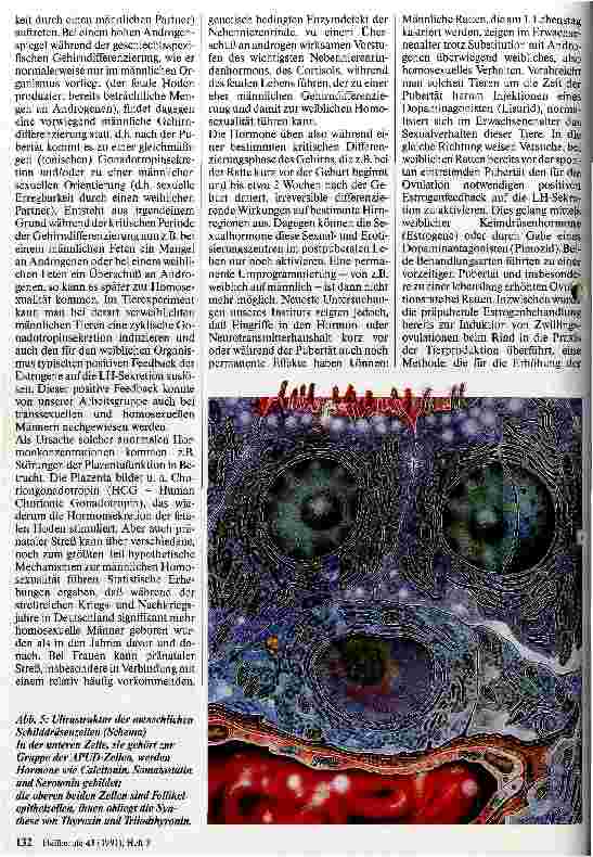Vorschauseite 4: Neuroendokrinologie heute