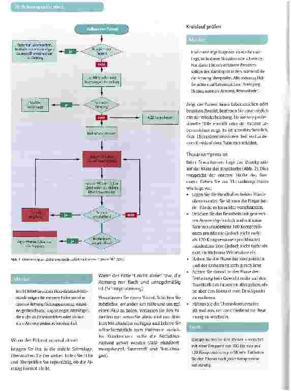 Vorschauseite 3: GUIDELINESDie neuen ERC-Leitlinien zur kardiopulmonalen Reanimation 2010 - Teil I