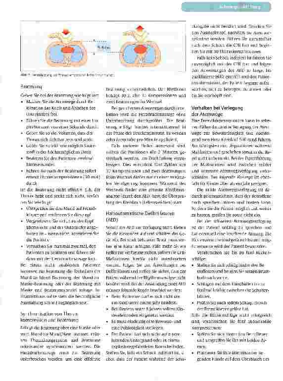 Vorschauseite 4: GUIDELINESDie neuen ERC-Leitlinien zur kardiopulmonalen Reanimation 2010 - Teil I