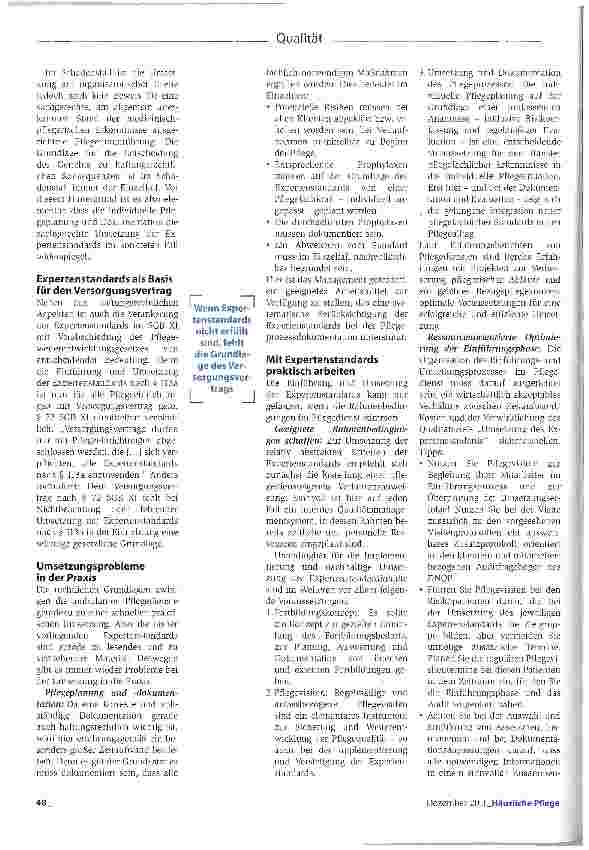 Vorschauseite 2: Nationale Expertenstandards mit Sicherheit umsetzen