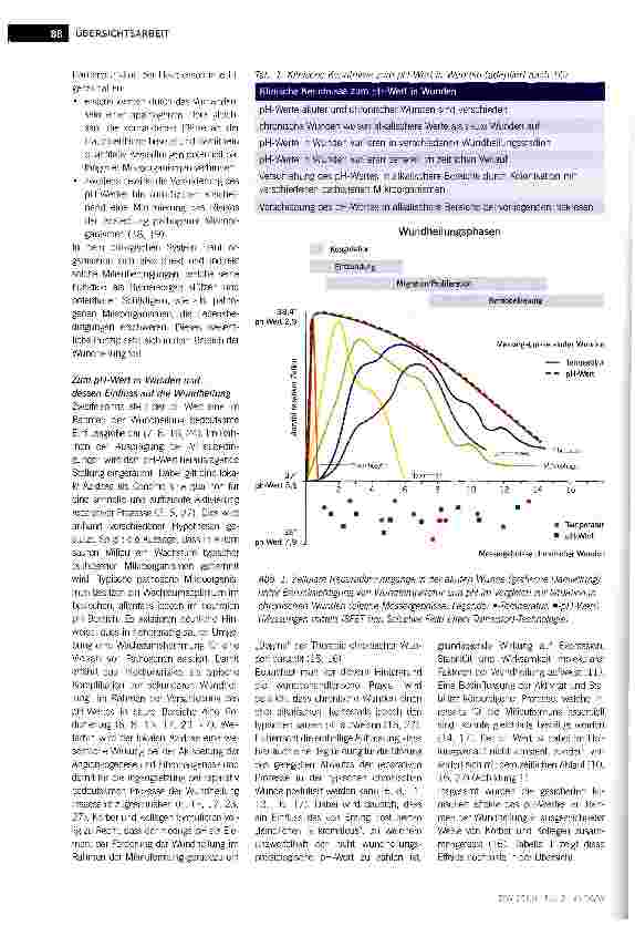 Vorschauseite 2: Die Bedeutung des pH-Wertes für die Wundheilung - Aspekte der therapeutischen Einflussnahme mittels saurer metallionenhaltiger Lösungen