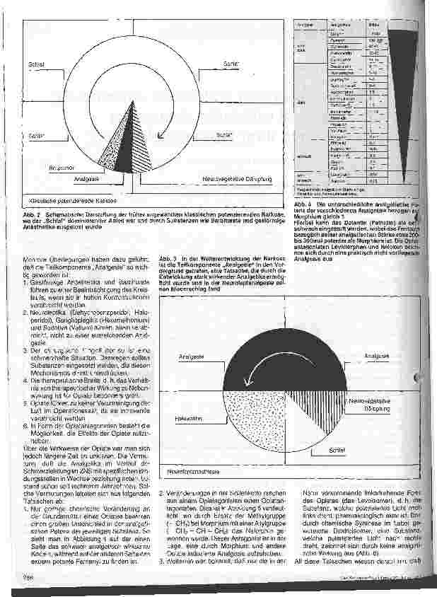 Vorschauseite 2: Wirkungsweise und praktische Anwendung zentral wirkender Analgetika und ihrer Gegenspieler