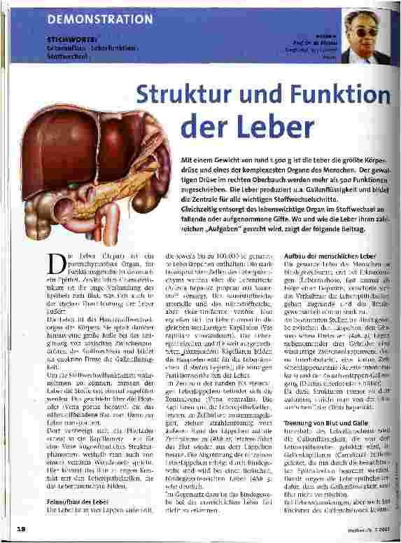 Vorschauseite 1: Struktur und Funktion der Leber
