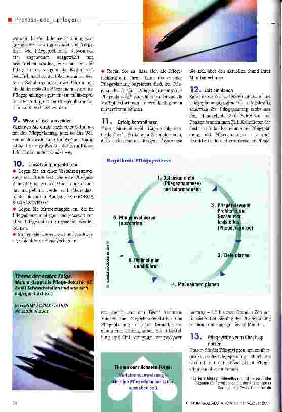 Vorschauseite 3: Pflegedokumentation und Pflegeplanung einführen 13 Schritte - wie Sie am besten vorgehen