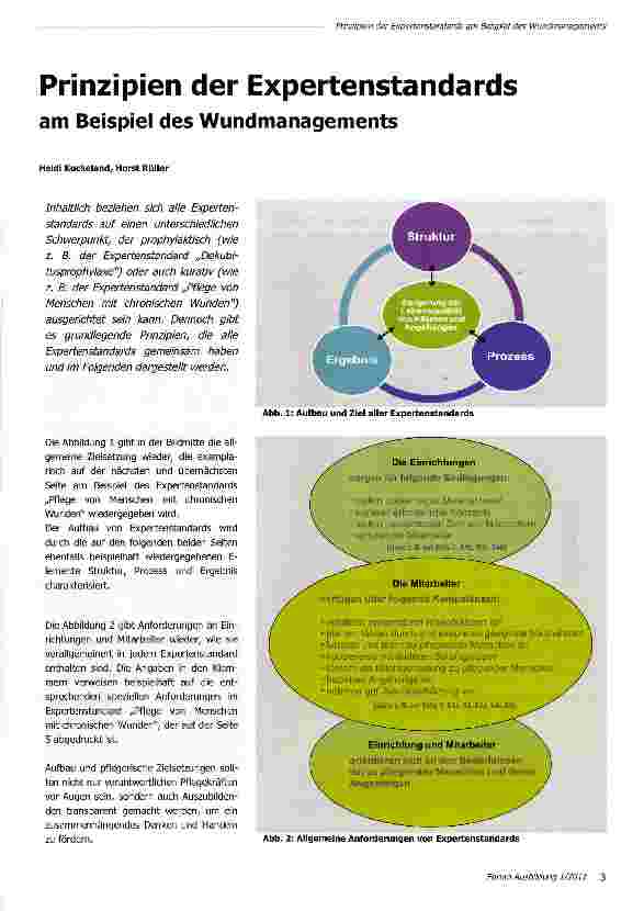 Vorschauseite 1: Prinzipien der Expertenstandards