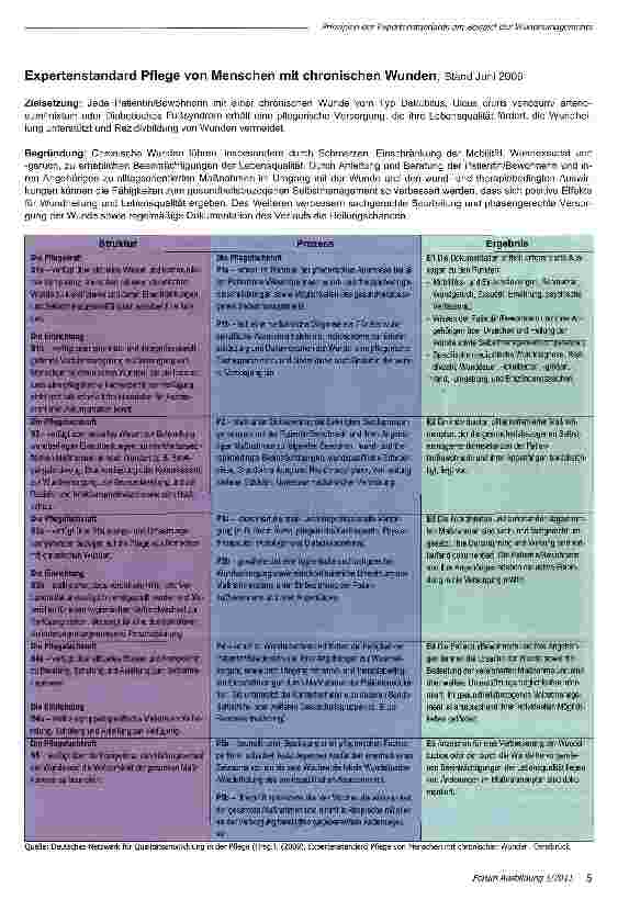 Vorschauseite 3: Prinzipien der Expertenstandards