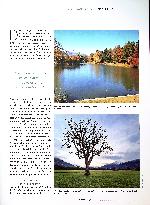 Vorschauseite 2: Spaziergang unter Sternenkindmüttern