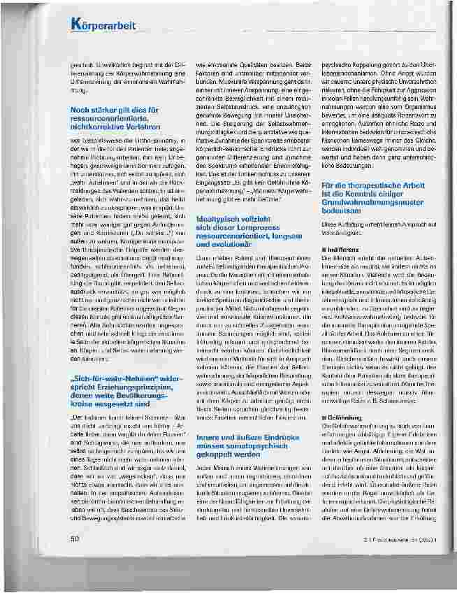 Vorschauseite 3: Grundlagen einer somatopsychischen Interpretation von Techniken der Körperarbeit