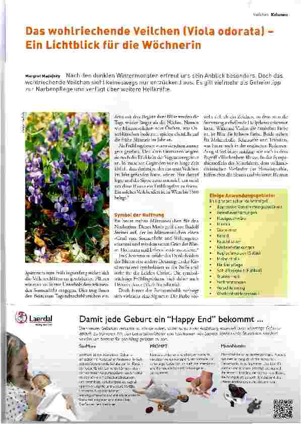Vorschauseite 1: Das wohlriechende Veilchen (Viola odorata) -Ein Lichtblick für die Wöchnerin