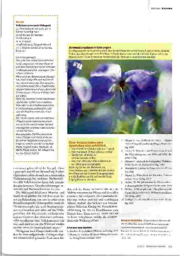 Vorschauseite 3: Das wohlriechende Veilchen (Viola odorata) -Ein Lichtblick für die Wöchnerin