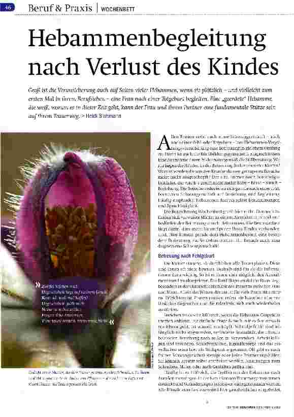 Vorschauseite 1: Hebammenbegleitung nach Verlust des Kindes