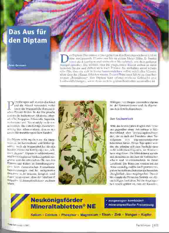 Vorschauseite 1: Das Aus für den Diptam