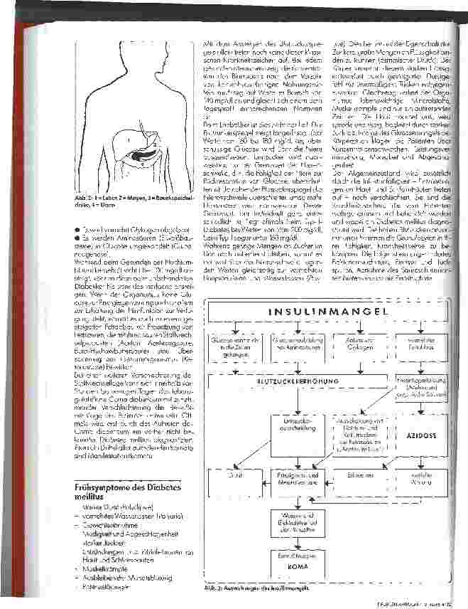 Vorschauseite 2: Krankheitsbild des Diabetes Mellitus 1. Folge
