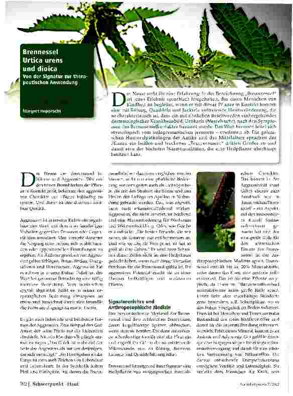 Vorschauseite 1: Brennessel Urtica urens und dioicaVon der Signatur zur Therapeutischen Anwendung