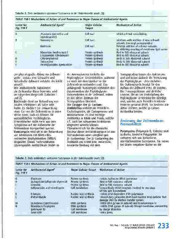 Vorschauseite 3: Grundlagen der Antibiotikaresistenz -grundsätzliche Mechanismen