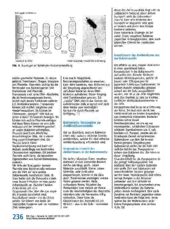 Vorschauseite 6: Grundlagen der Antibiotikaresistenz -grundsätzliche Mechanismen