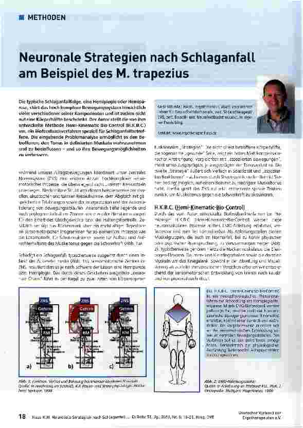 Vorschauseite 1: Neuronale Strategien nach Schlaganfall am Beispiel des M. trapezius