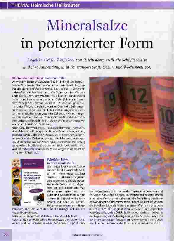 Vorschauseite 1: Mineralsalze in potenzierter Form