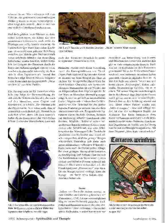 Vorschauseite 4: Naturverehrung und Heilkunst