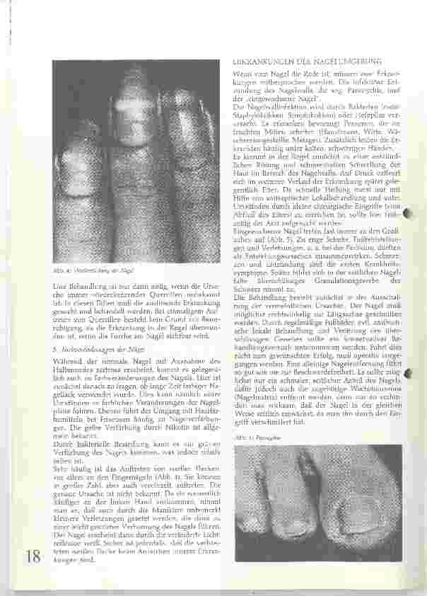 Vorschauseite 3: Der gesunde und der kranke Nagel Eine kleine Nagelkunde