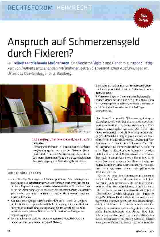 Vorschauseite 1: Anspruch auf Schmerzensgeld durch Fixieren?