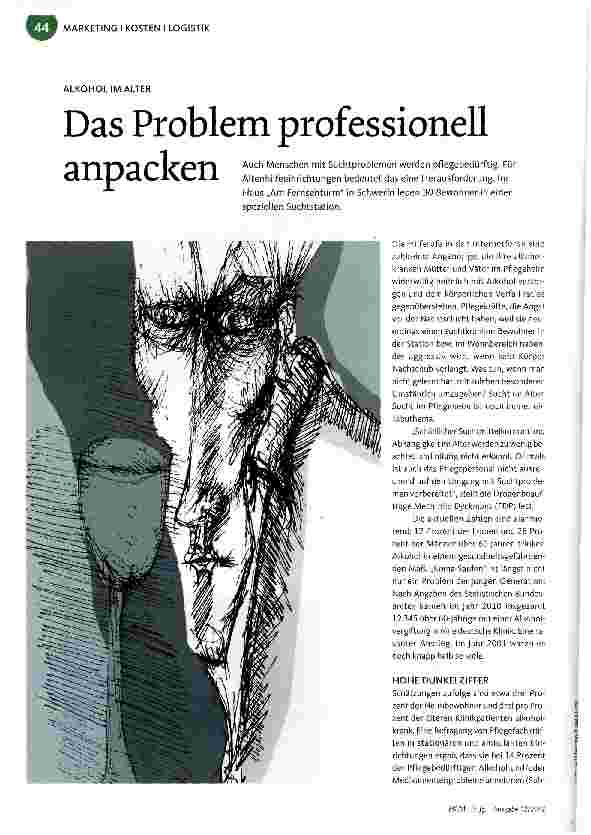Vorschauseite 1: Das Problem professionell anpacken