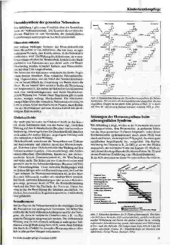 Vorschauseite 2: Das adrenogenitale Syndrom