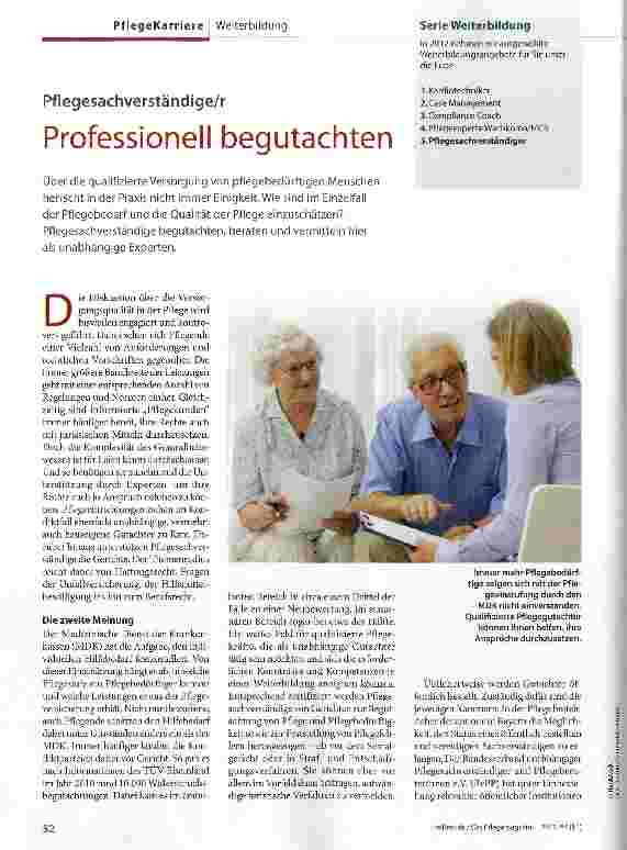 Vorschauseite 1: Professionell begutachten