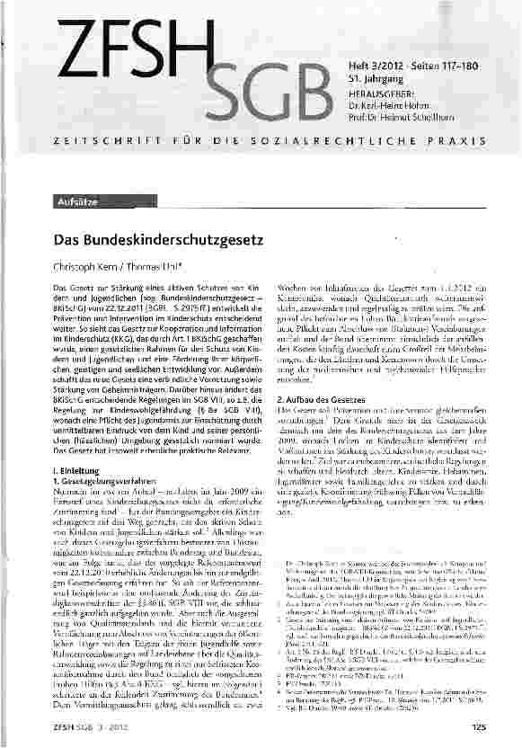 Vorschauseite 1: Das Bundeskinderschutzgesetz