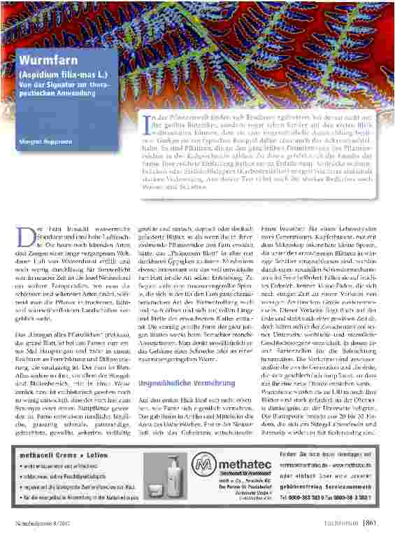 Vorschauseite 1: Wurmfarn (Aspidium filix-mas L.) Von der Signatur zur therapeutischen Anwendung