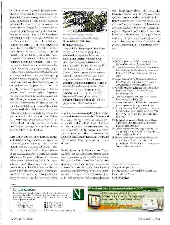 Vorschauseite 3: Wurmfarn (Aspidium filix-mas L.) Von der Signatur zur therapeutischen Anwendung