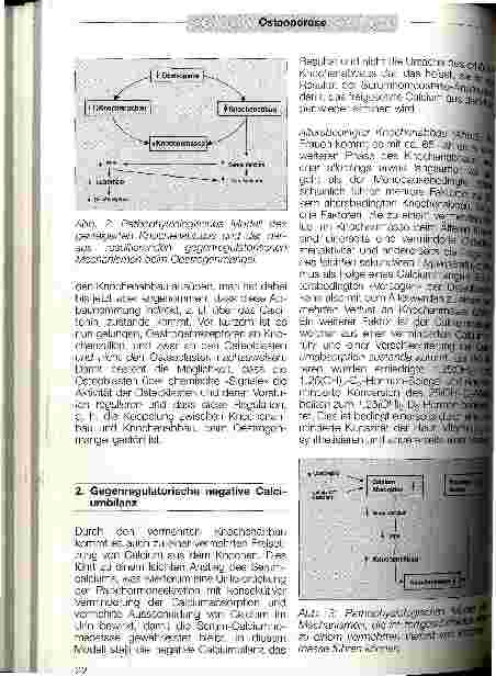Vorschauseite 3: Osteoporose - Teil 1