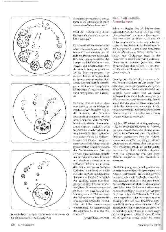 Vorschauseite 3: Viren: Pro und contra Krebs