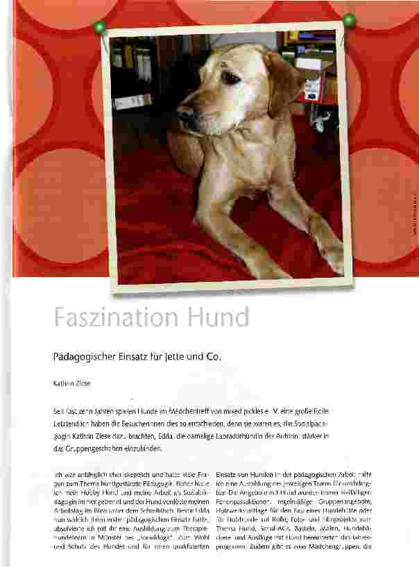 Vorschauseite 1: Faszination Hund