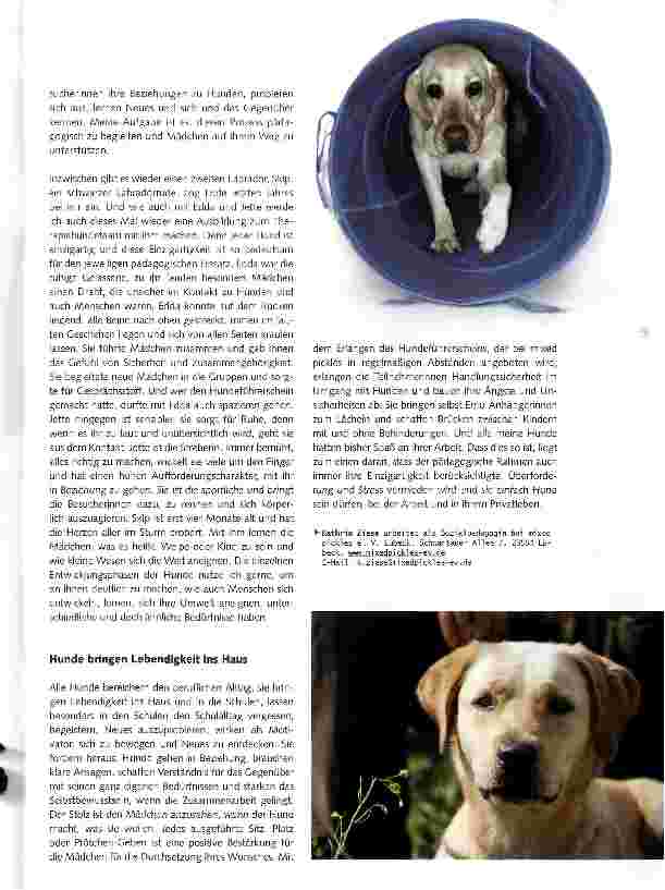 Vorschauseite 3: Faszination Hund